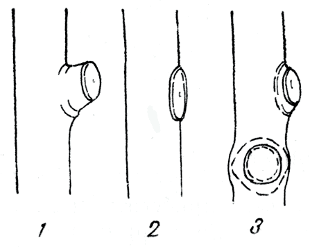 obrezka-derevev-2.gif